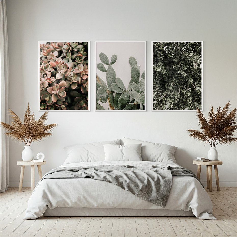 Zestaw obrazy w ramie, plakaty - rośliny, kaktus, liście - rama biała
