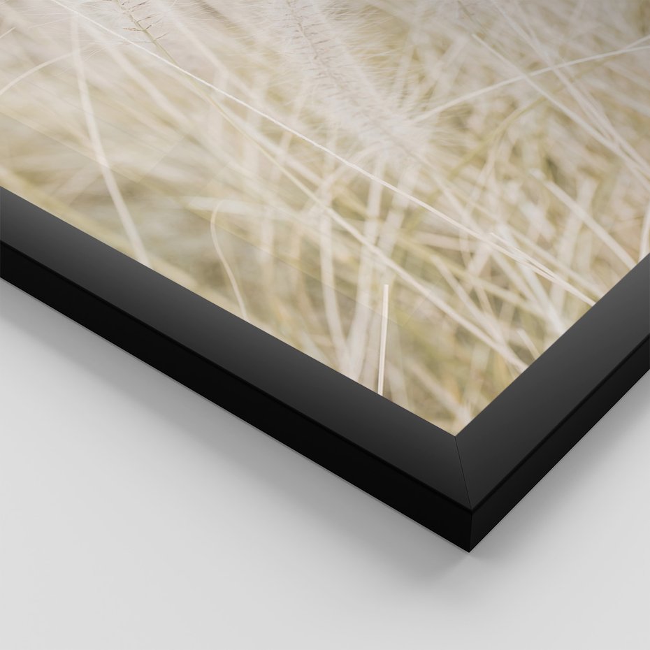 Zestaw obrazy w ramie, plakaty - trawa, natura, lekkość - rama czarna