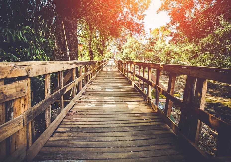 Fototapeta - most, drewno, natura