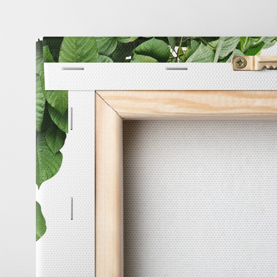 Obraz na płótnie - liście, zielony, roślina