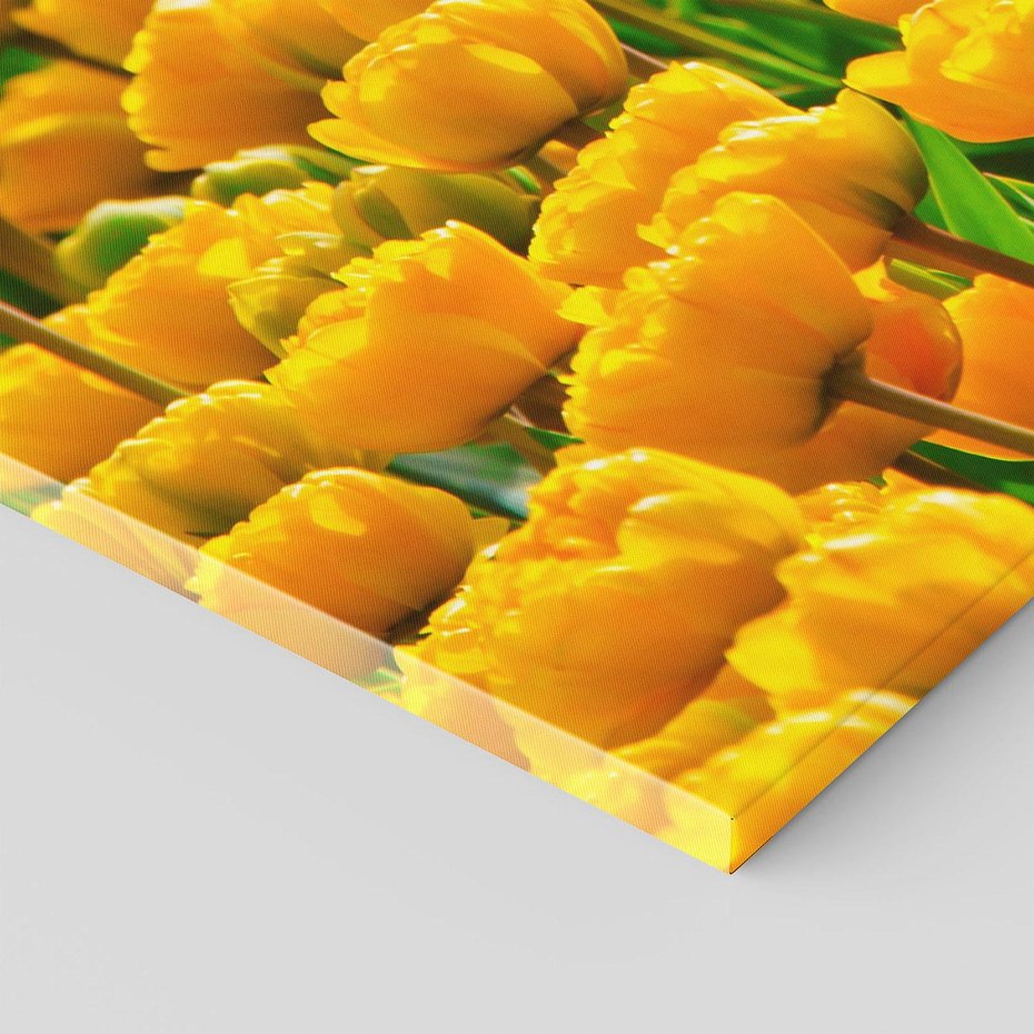 Obraz na płótnie - tulipany, kwiaty, żółty