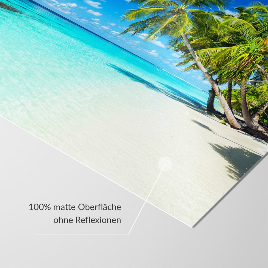 Fototapeta - plaża, morze, palmy