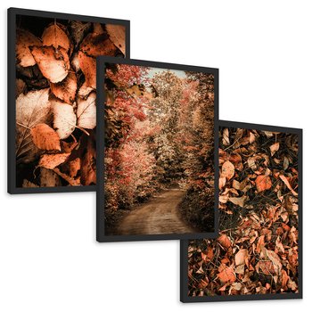 Zestaw obrazy w ramie, plakaty - liście,jesień,drzewa - rama czarna
