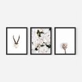 Zestaw obrazy w ramie, plakaty - kwiaty, minimalizm, roślina - rama czarna