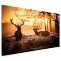 Obraz na płótnie - jelenie, natura, zachód słońca