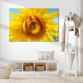 Obraz na płótnie - słonecznik, lato, kwiat