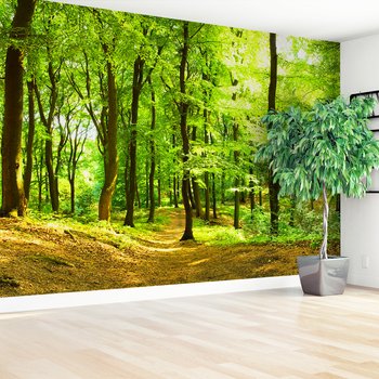 Fototapeta - las, drzewa, natura