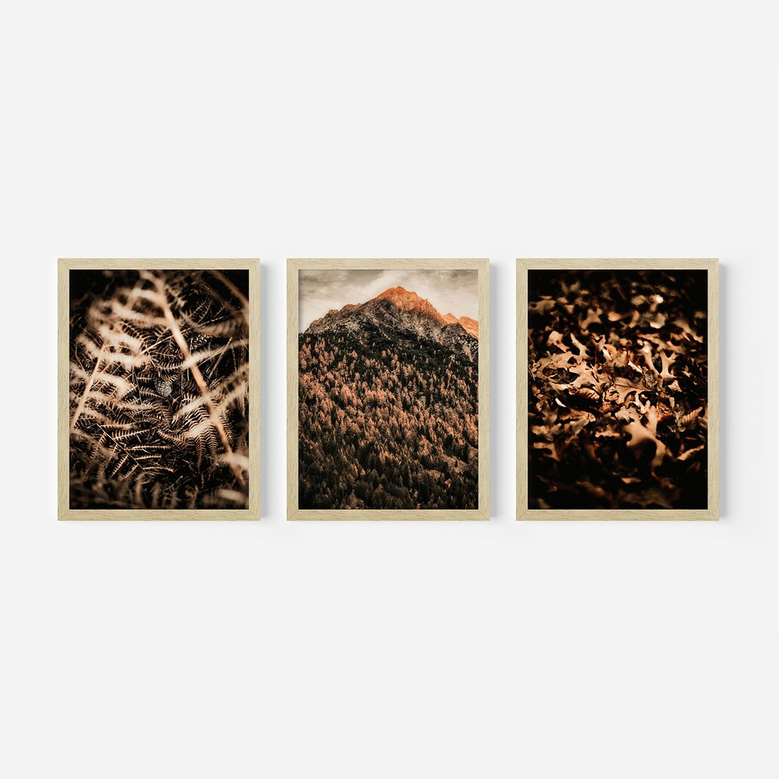 Zestaw obrazy w ramie, plakaty - natura, liście, góry - rama drewno