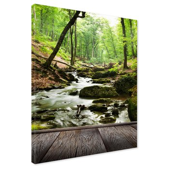 Obraz na płótnie - las, strumień, drzewa