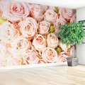 Fototapeta - róże, kwiaty, pastelowe
