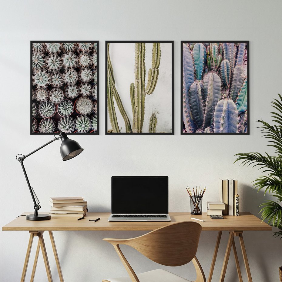 Zestaw obrazy w ramie, plakaty - kaktusy, rośliny, kolce - rama czarna