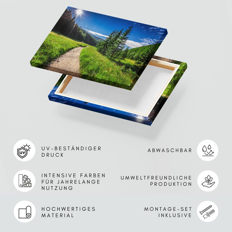 Obraz na płótnie - krajobraz, las, ścieżka