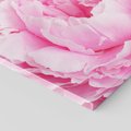 Obraz na płótnie - kwiat, płatki, różowy