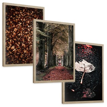 Zestaw obrazy w ramie, plakaty - liście, drzewa, jesień - rama drewno