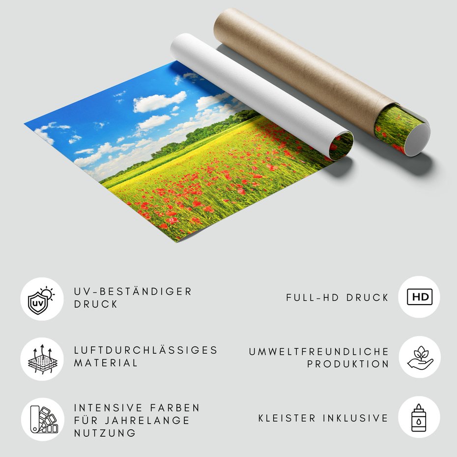 Fototapeta - łąka, kwiaty, niebo