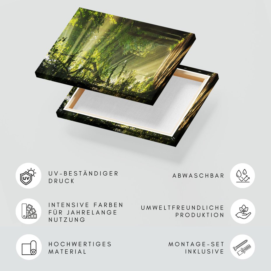 Obraz na płótnie - las, światło, droga