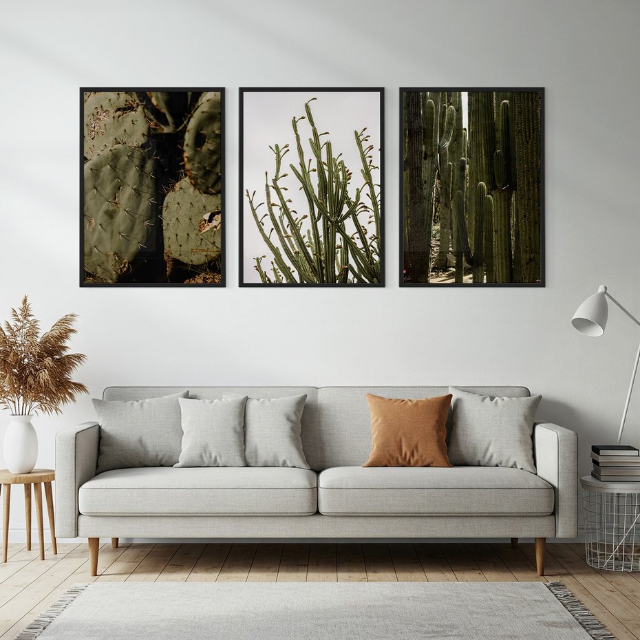 Zestaw obrazy w ramie, plakaty - kaktusy, rośliny, zielony - rama czarna
