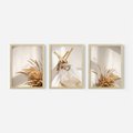 Zestaw obrazy w ramie, plakaty - trawa, dekoracja, pióra - rama drewno