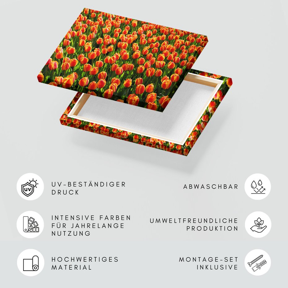 Obraz na płótnie - kwiaty, tulipany, pomarańczowe