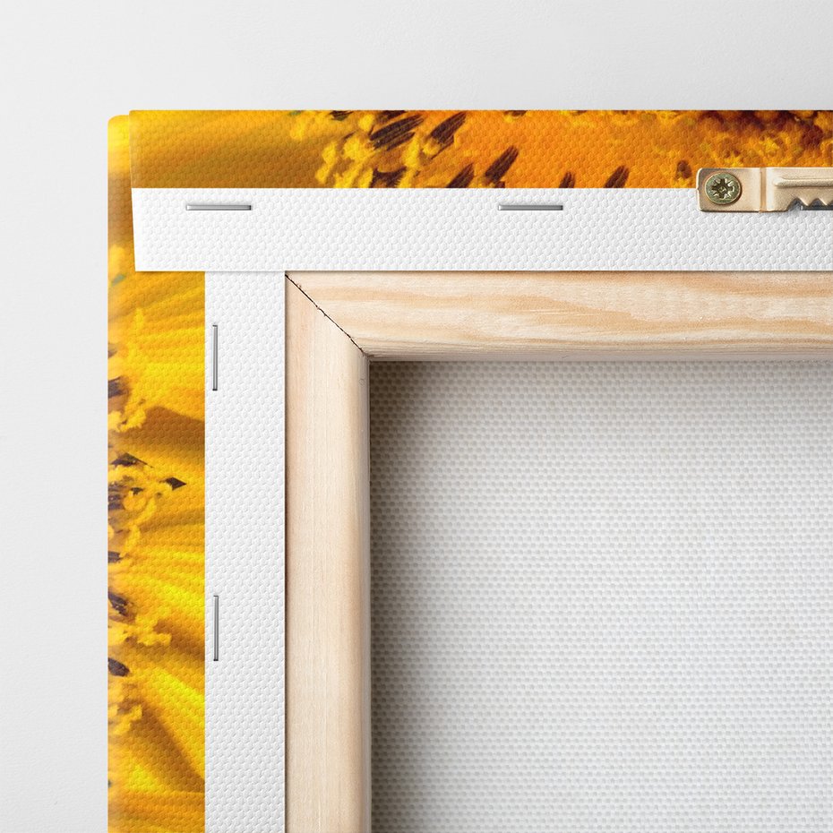 Obraz na płótnie - słonecznik, kwiat, zbliżenie