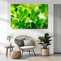 Obraz na płótnie - liście, zieleń, natura