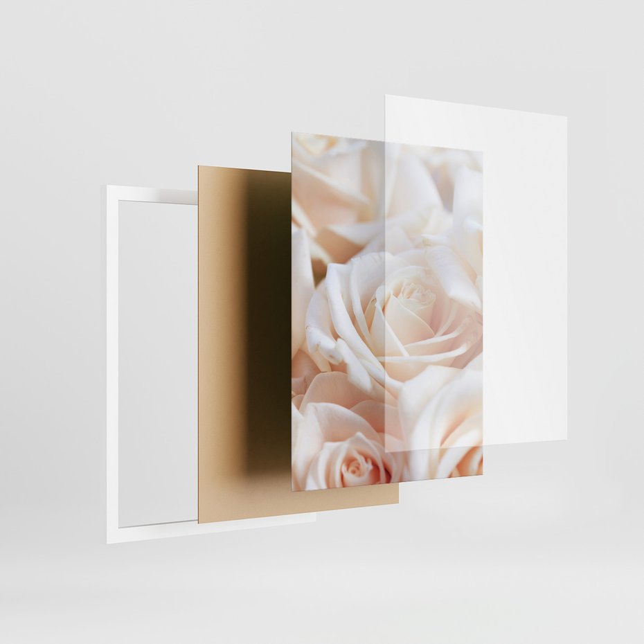 Zestaw obrazy w ramie, plakaty - kwiaty, róże, pastelowe - rama biała