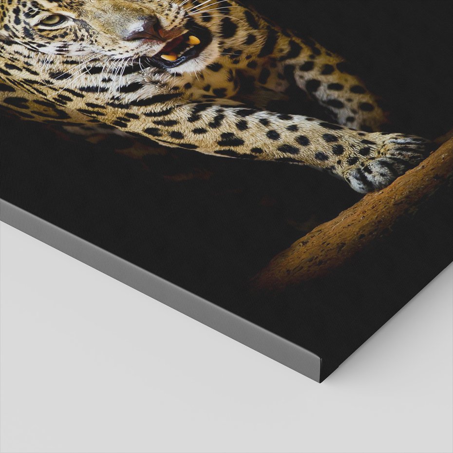 Obraz na płótnie - jaguar, zwierzę, drapieżnik
