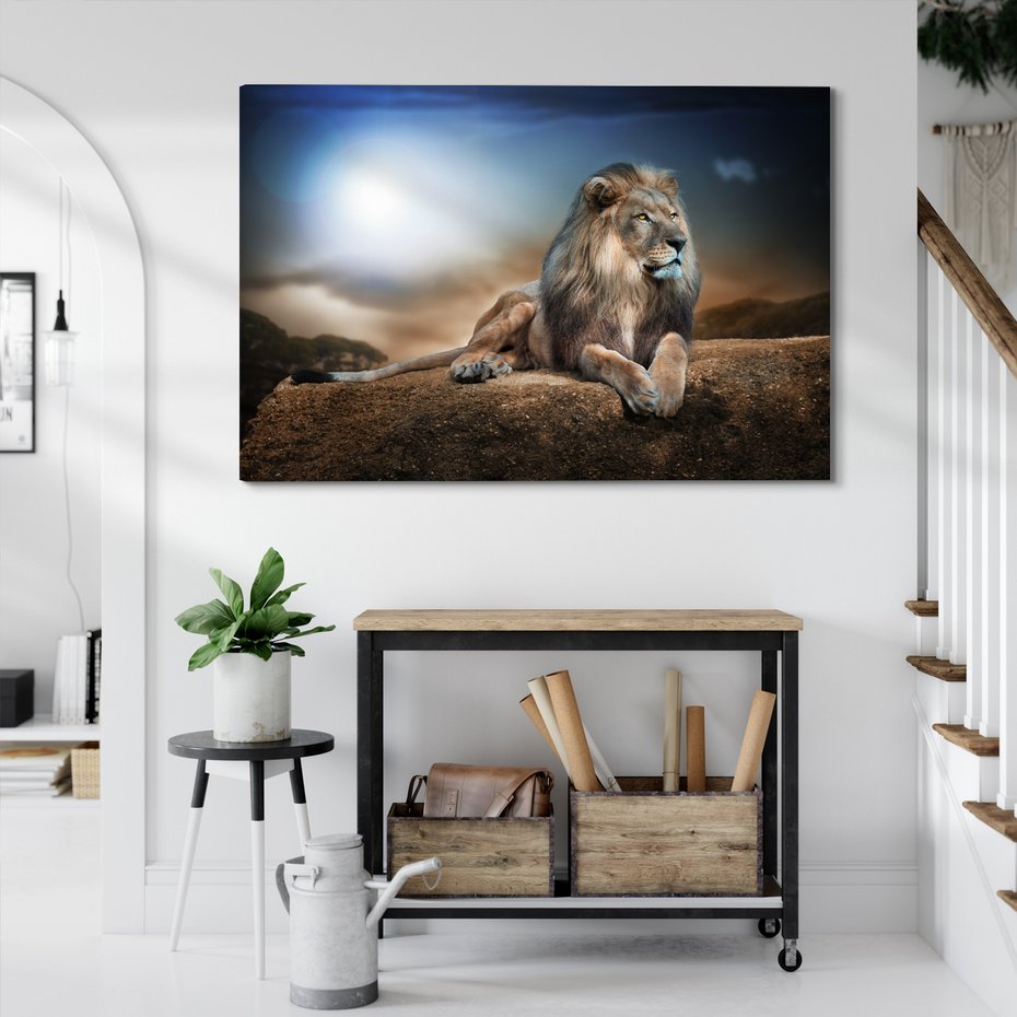 Obraz na płótnie - lew, kot, natura