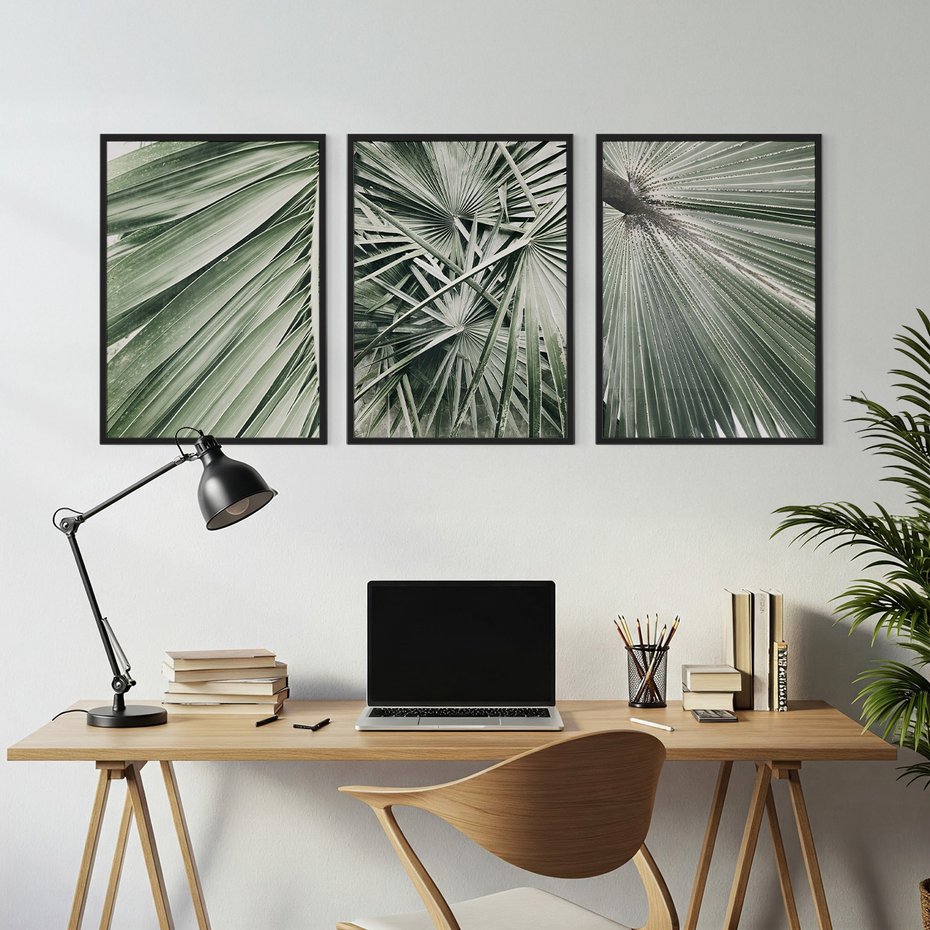 Zestaw obrazy w ramie, plakaty - liście palmowe, rośliny, natura - rama czarna