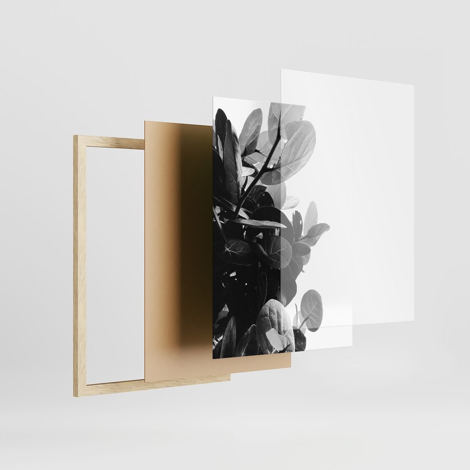 Zestaw obrazy w ramie, plakaty - liście, rośliny, natura - rama drewno
