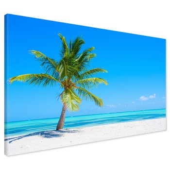 Obraz na płótnie - palma, plaża, morze