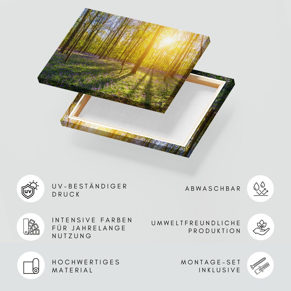 Obraz na płótnie - las, kwiaty, słońce