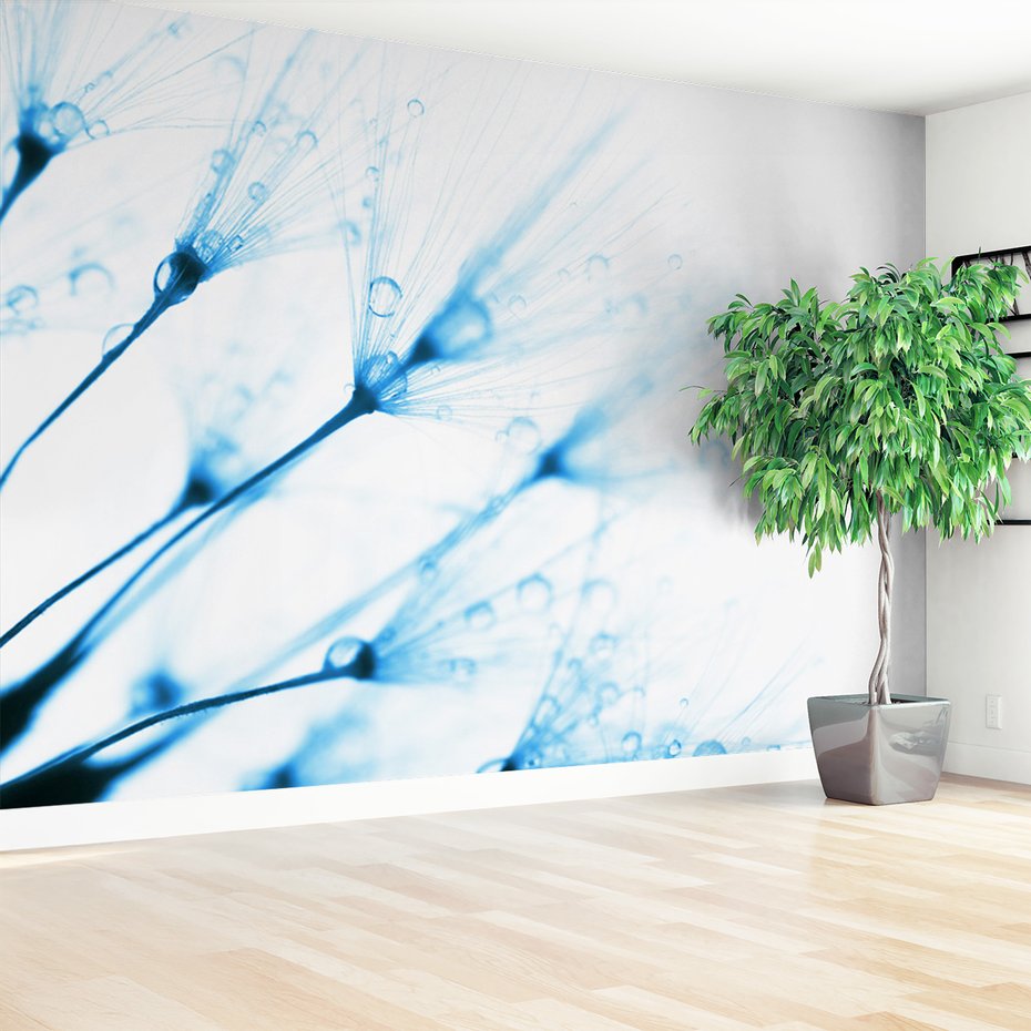 Fototapeta - dmuchawiec, krople, delikatność