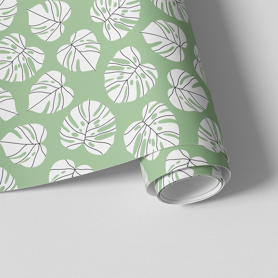 Tapeta - liście, monstera, natura