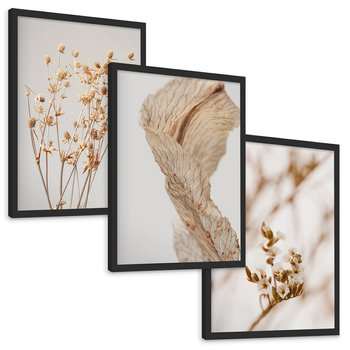 Zestaw obrazy w ramie, plakaty - roślina, kwiat, suszone - rama czarna