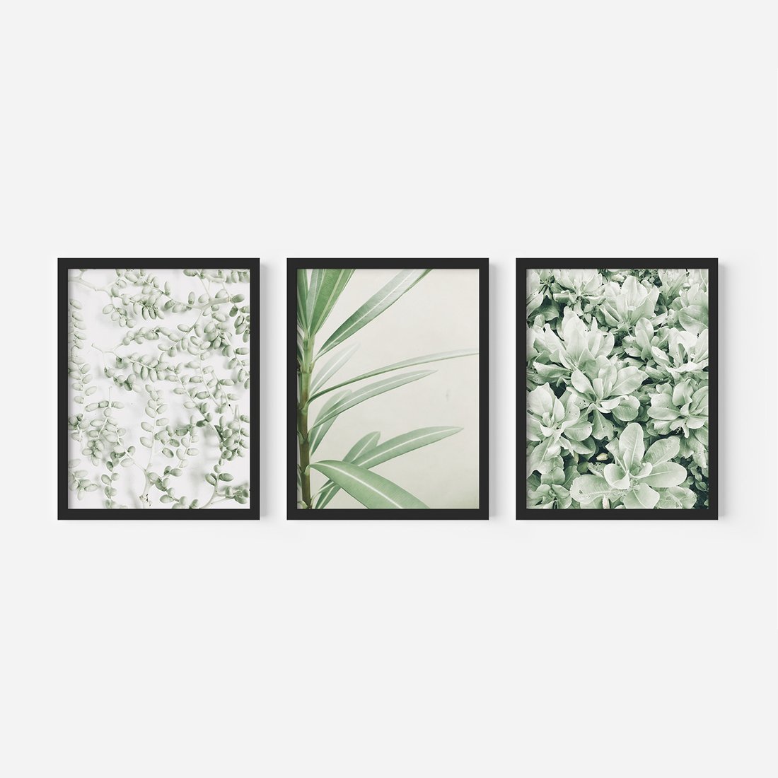 Zestaw obrazy w ramie, plakaty - liście, roślina, gałązka - rama czarna