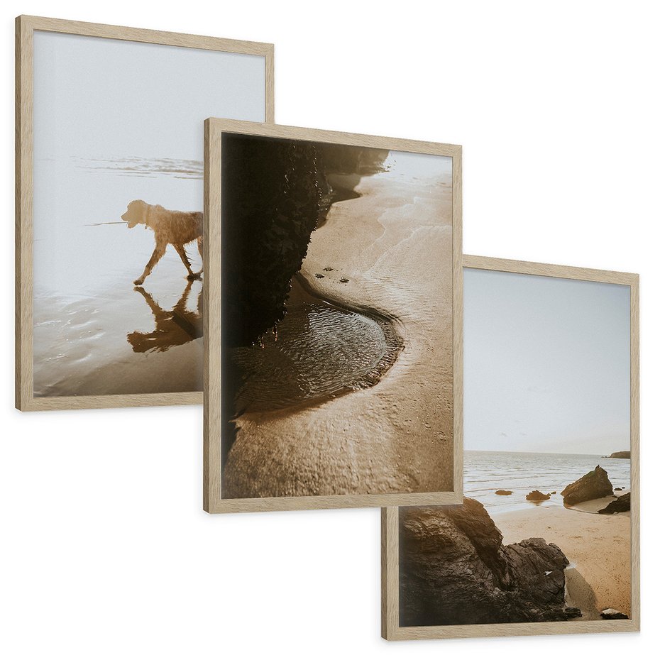 Zestaw obrazy w ramie, plakaty - plaża, morze, pies - rama drewno