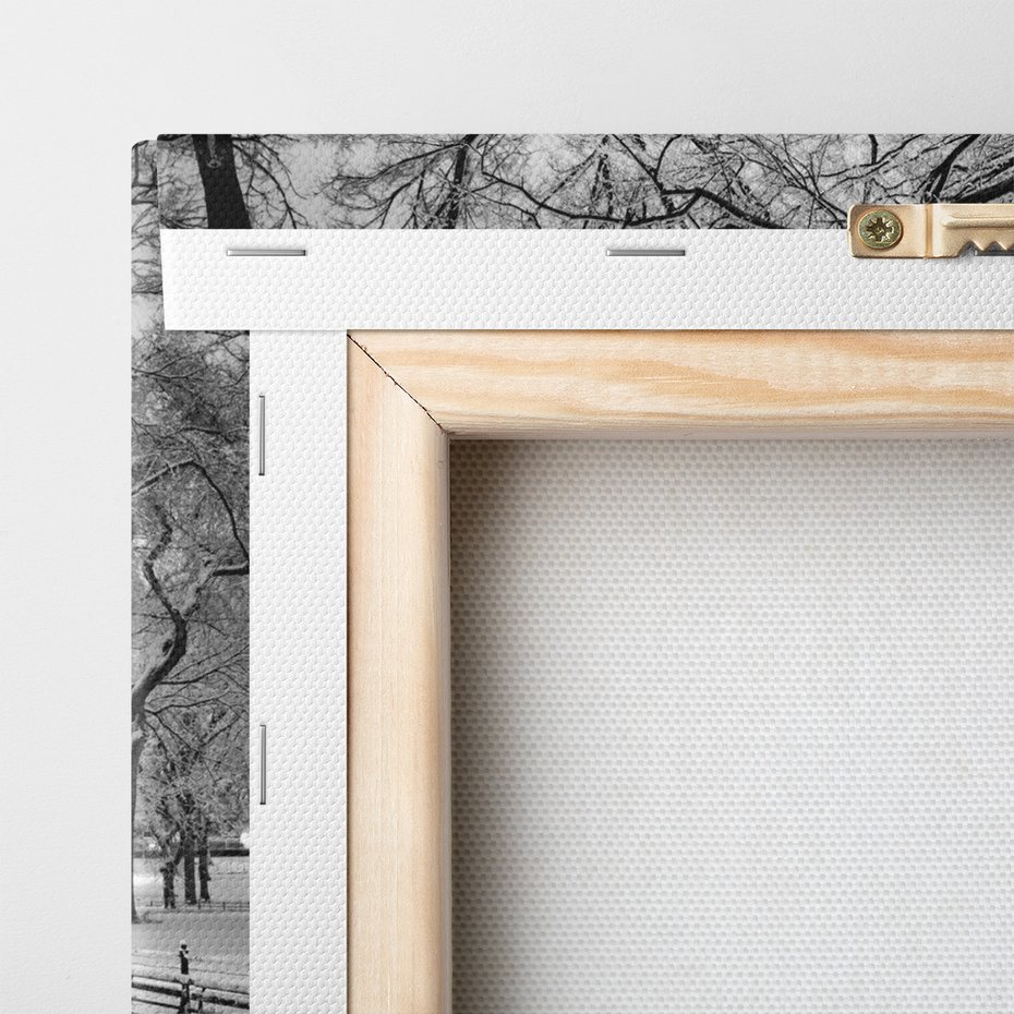 Obraz na płótnie - zima, śnieg, park