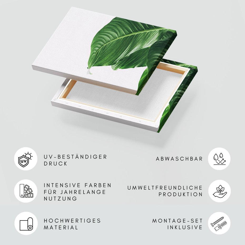 Obraz na płótnie - liść, zieleń, natura