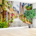 Fototapeta - uliczka, kwiaty, budynki