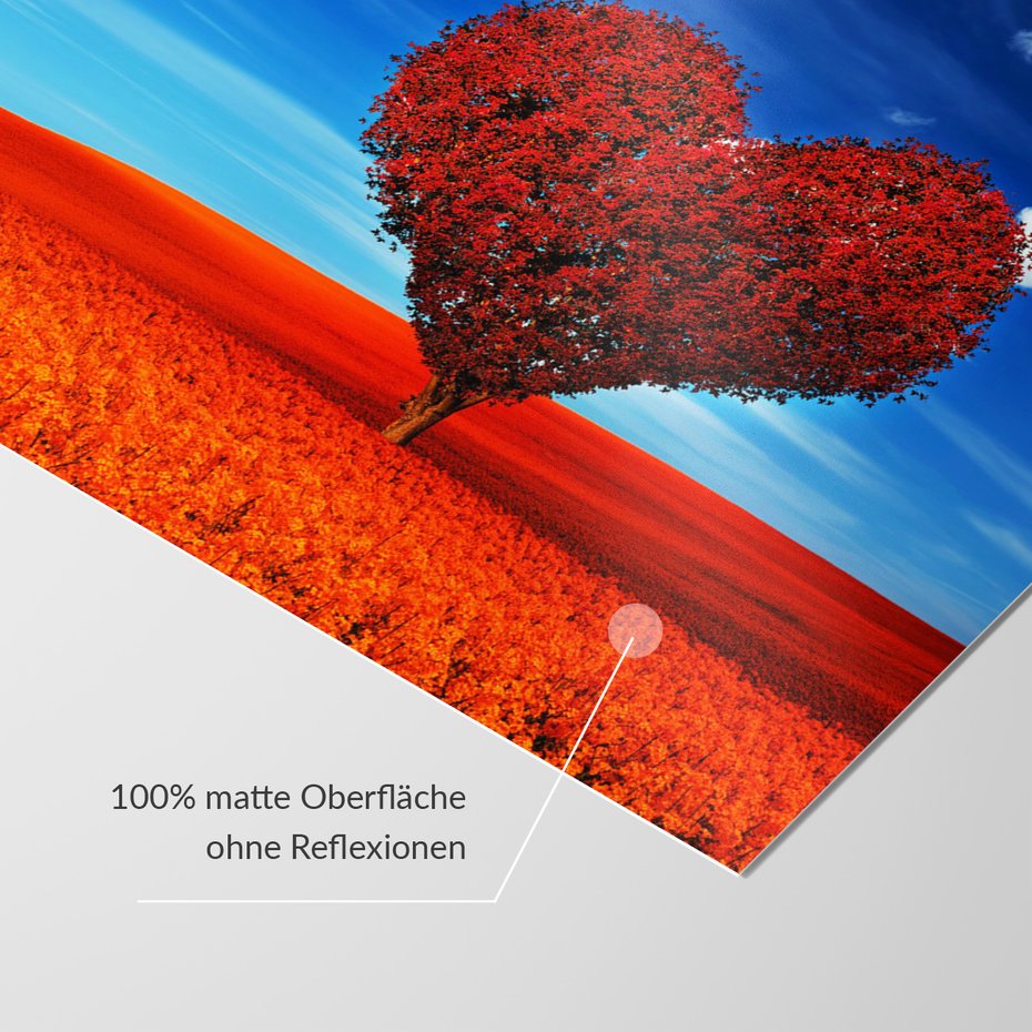 Fototapeta - drzewo, serce, krajobraz