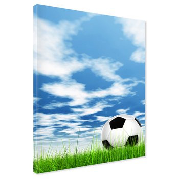 Obraz na płótnie - piłka, nożna, trawa
