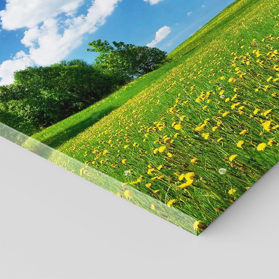 Obraz na płótnie - łąka, kwiaty, lato