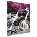 Obraz na płótnie - wodospad, las, skały
