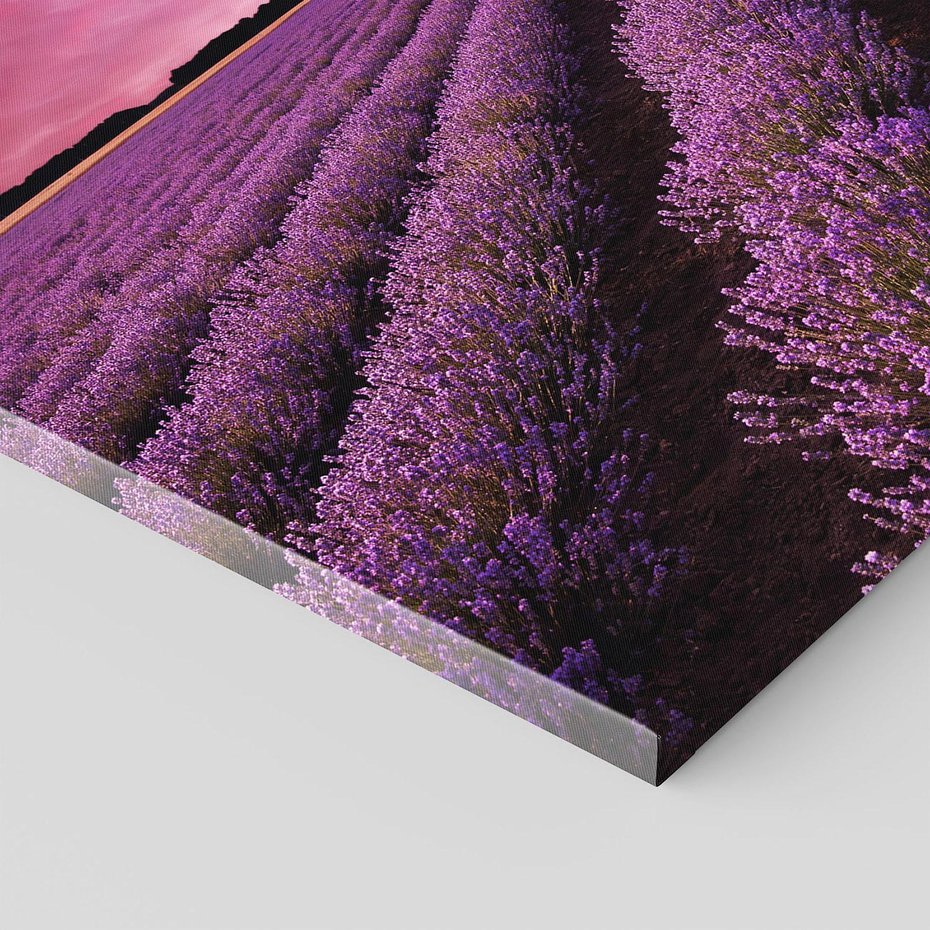 Obraz na płótnie - lawenda, pole, fioletowy