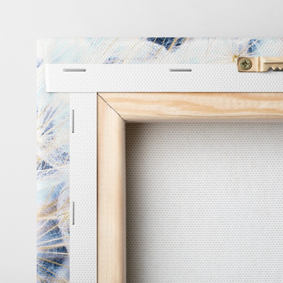 Obraz na płótnie - dandelion, nasiona, dmuchawiec