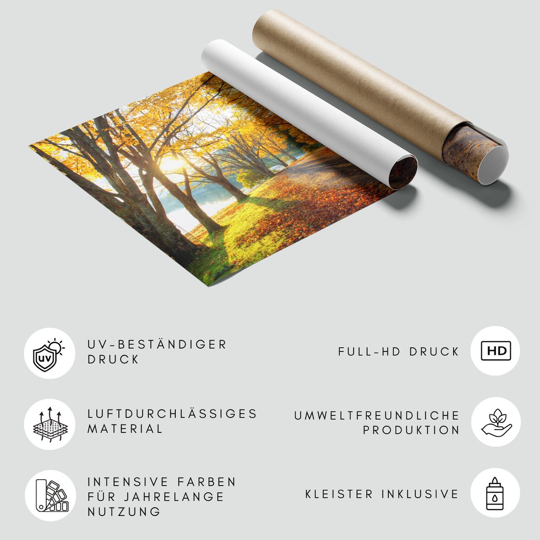 Fototapeta - jesień, liście, drzewa