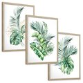 Zestaw obrazy w ramie, plakaty - liście, rośliny, tropikalne - rama drewno