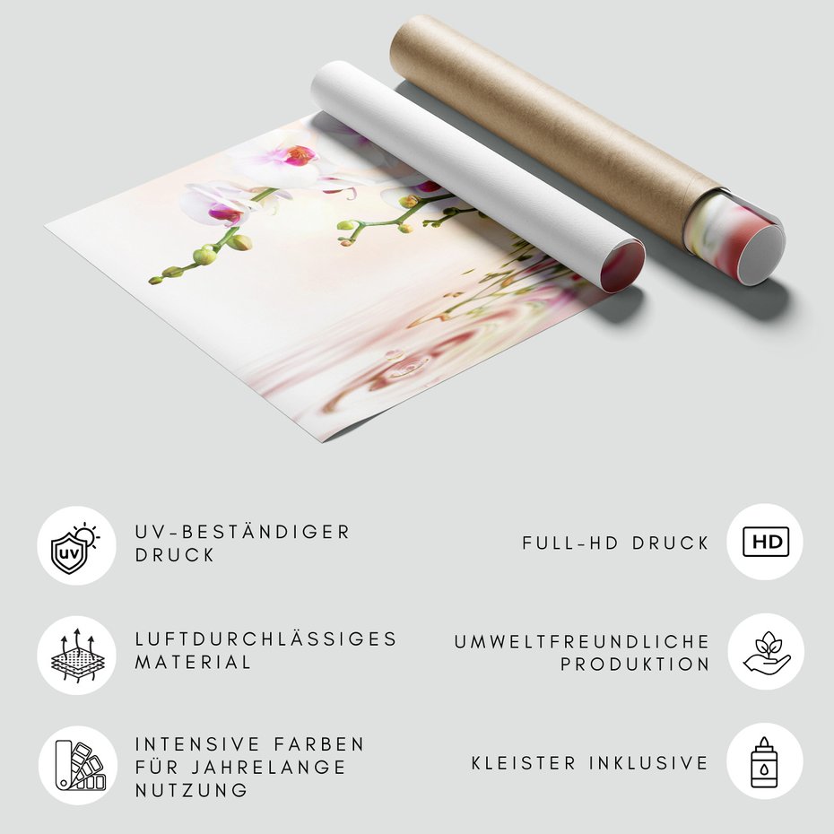 Fototapeta - orchidee, kwiaty, woda