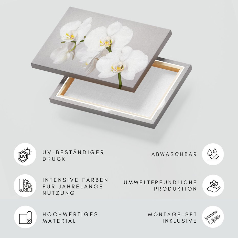 Obraz na płótnie - kwiat, orchidea, biały